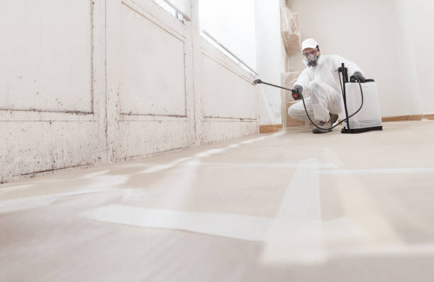 24/7 Emergency Mold Cleanup experts in Thomasville, NC