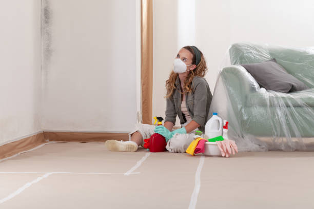 Reliable Mold Cleanup contractor in Thomasville, NC by WQB Mold Removal